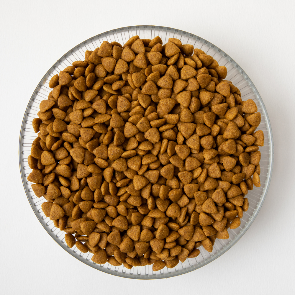 로얄캐닌 독 미니 인도어 퍼피, 500g, 1개 - 상세 이미지 4