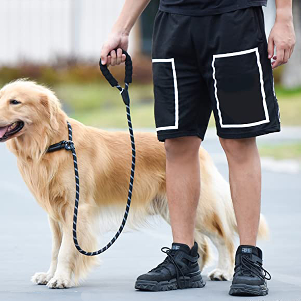 강아지 목줄 일체형 로프 슬립 소형견 중형견 대형견 8mm 2M 이미지 4