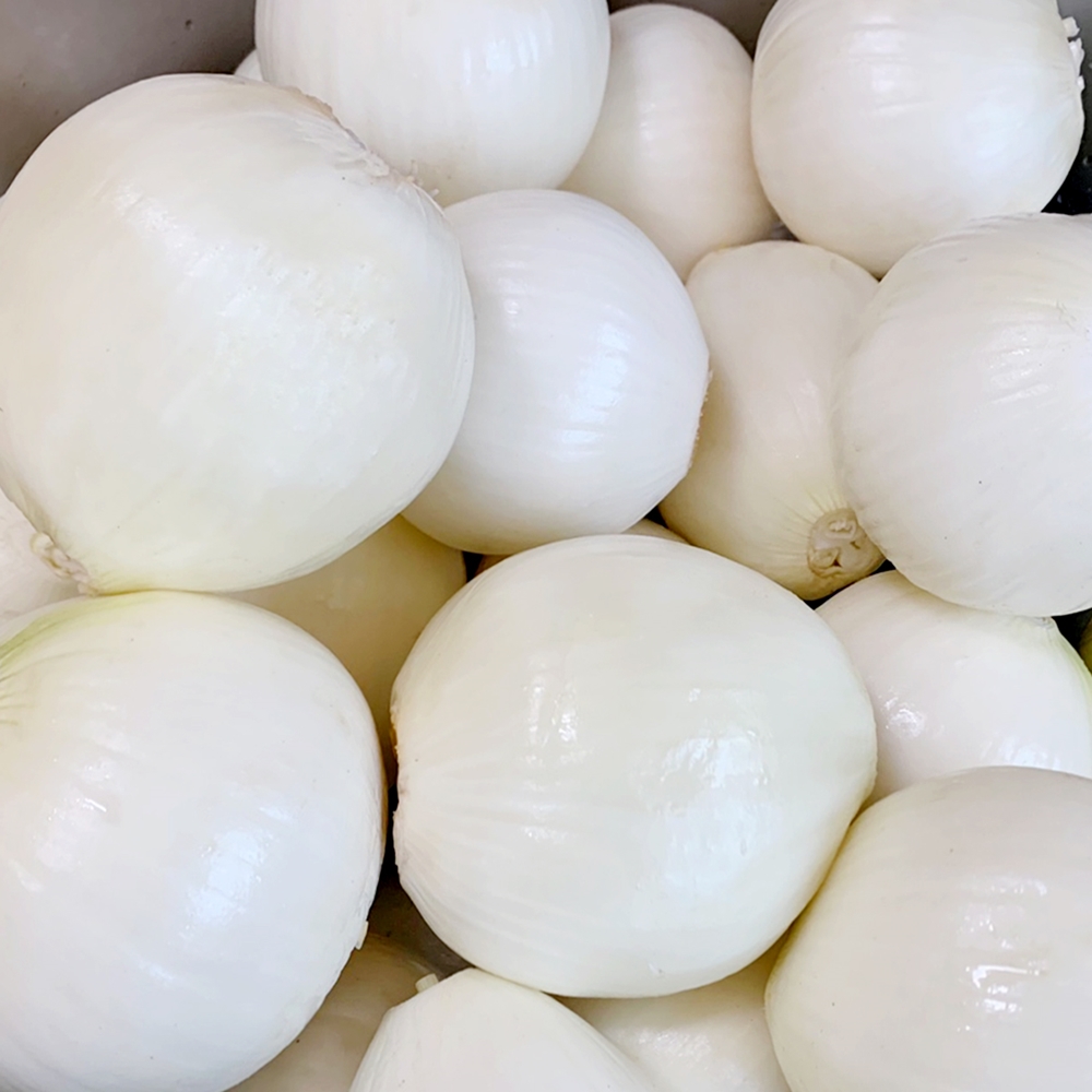 [알림받기 전용] 대용량 키마카레 30시간의 정성, 간편하게 데워먹는 저수분 카레 X12팩 오리지널 이미지 7