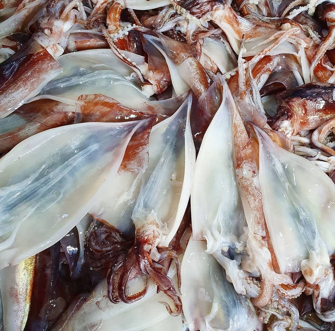 냉동 손질오징어 1kg 통오징어 가격 추이 동광수산 냉동 손질오징어 1kg 통오징어 - 최저가 18,900원