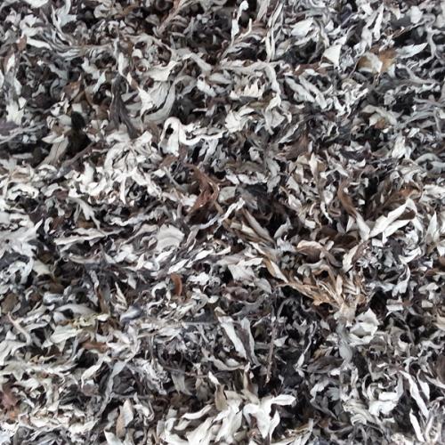 거문도해풍쑥 말린쑥 건조쑥 500g (잎쑥 물끓여드시는용) - 상세 이미지 2