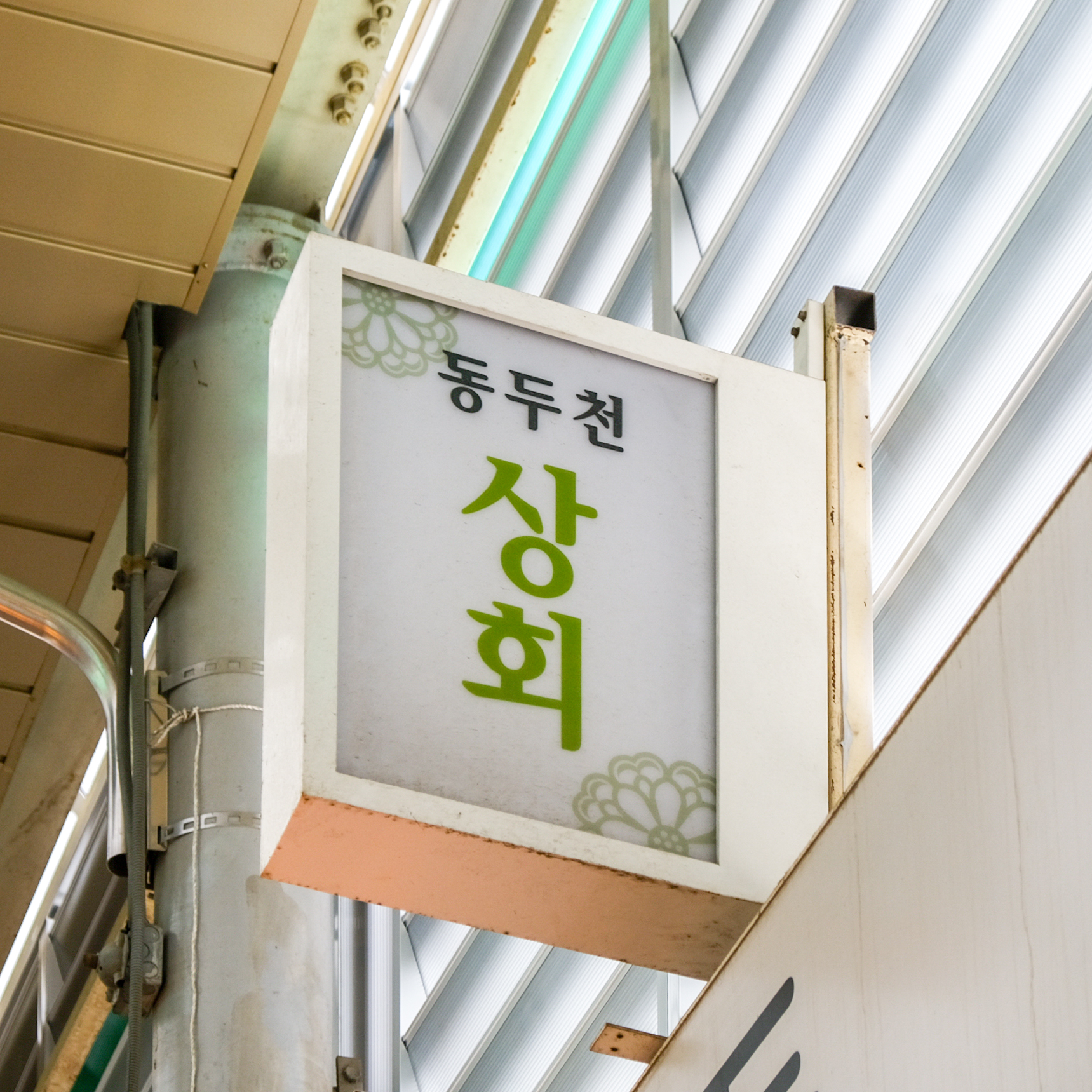 [강북구·도봉구 배달] 맛좋은 국산 도라지 400g [수유전통 동두천상회] : 동네시장 장보기