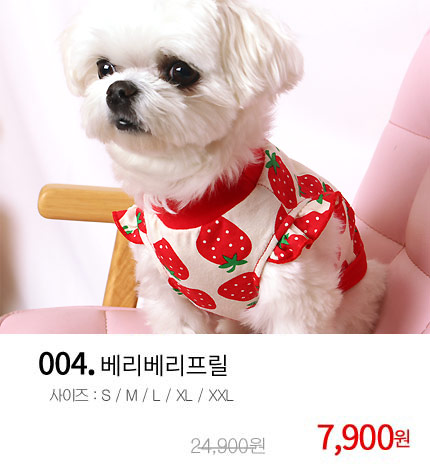 강아지옷 딸기프릴면옷 초소형 소형 - 상세 이미지 3