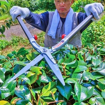 탱자 양손 고지 장대전지가위 소 나무 가지치기 감따는 도구 사과 조경 절단 나무자르는가위