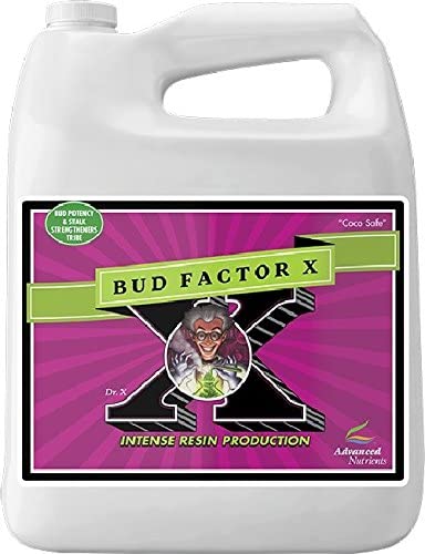 Advanced Nutrients Bud Factor X 비료 사용 후 풍성한 식물