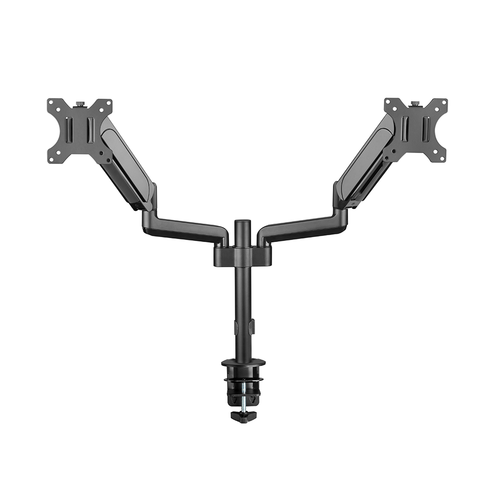 19935708548450939 756161097