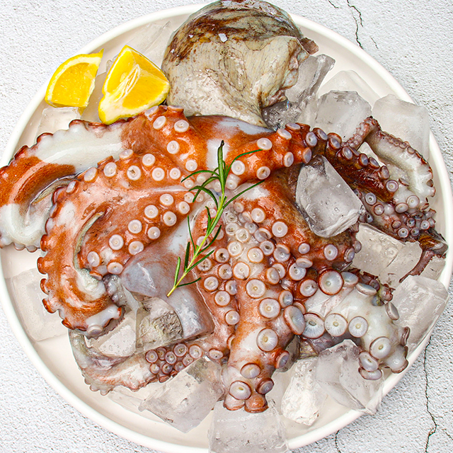 통영 국내산 돌문어 1kg (1-2미) - 상세 이미지 4
