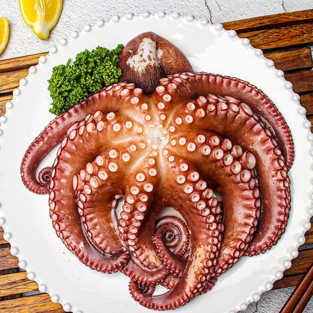 통영 국내산 돌문어 1kg (1-2미) - 메인 이미지