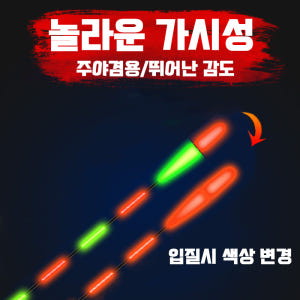 루키드 현영 스마트 전자찌 민물 전자 찌 낚시 입질 감지 센서 붕어 올림... 운동러 솔직 후기 | 실사용 리뷰 - 상품 이미지 4