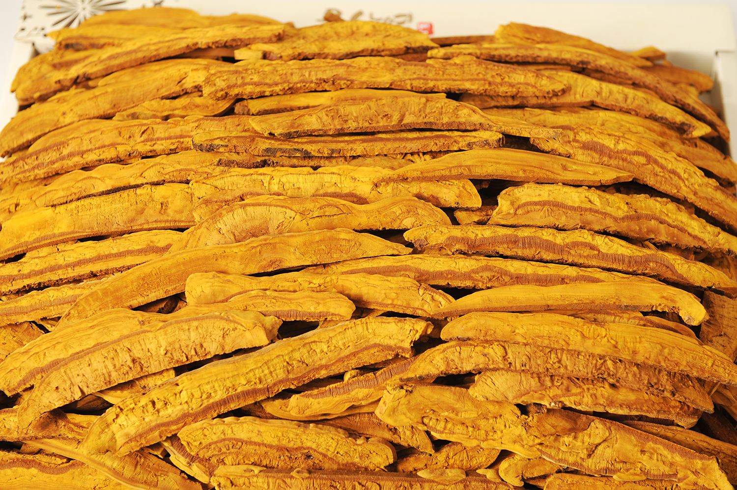 국내산 유기농 장수 상황버섯 절편 500g (특품) - 상세 이미지 3