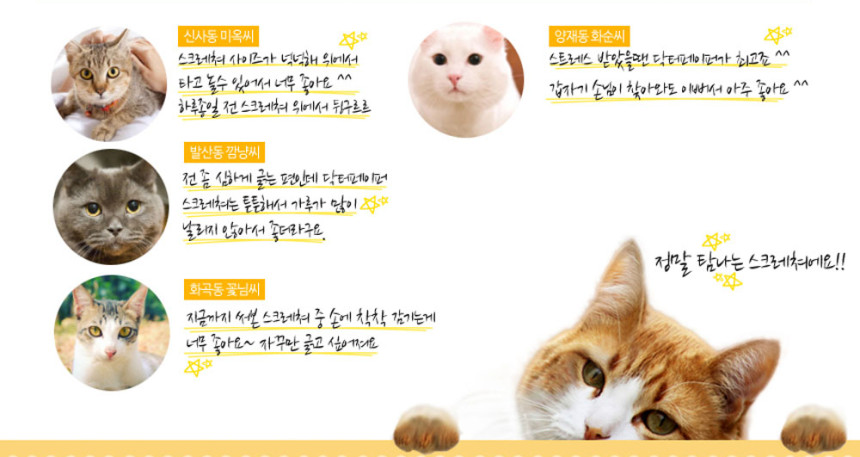 닥터페이퍼 이미지