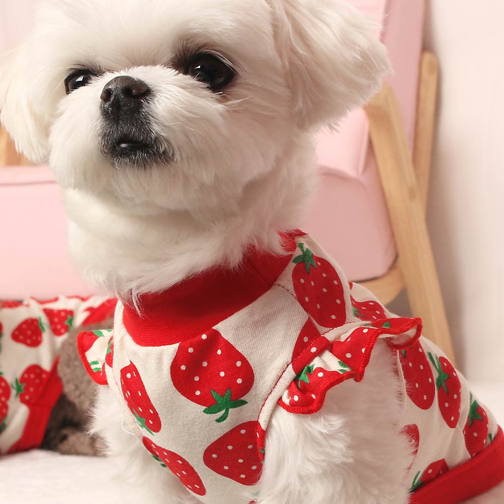 강아지옷 딸기프릴면옷 초소형 소형 - 상품 이미지