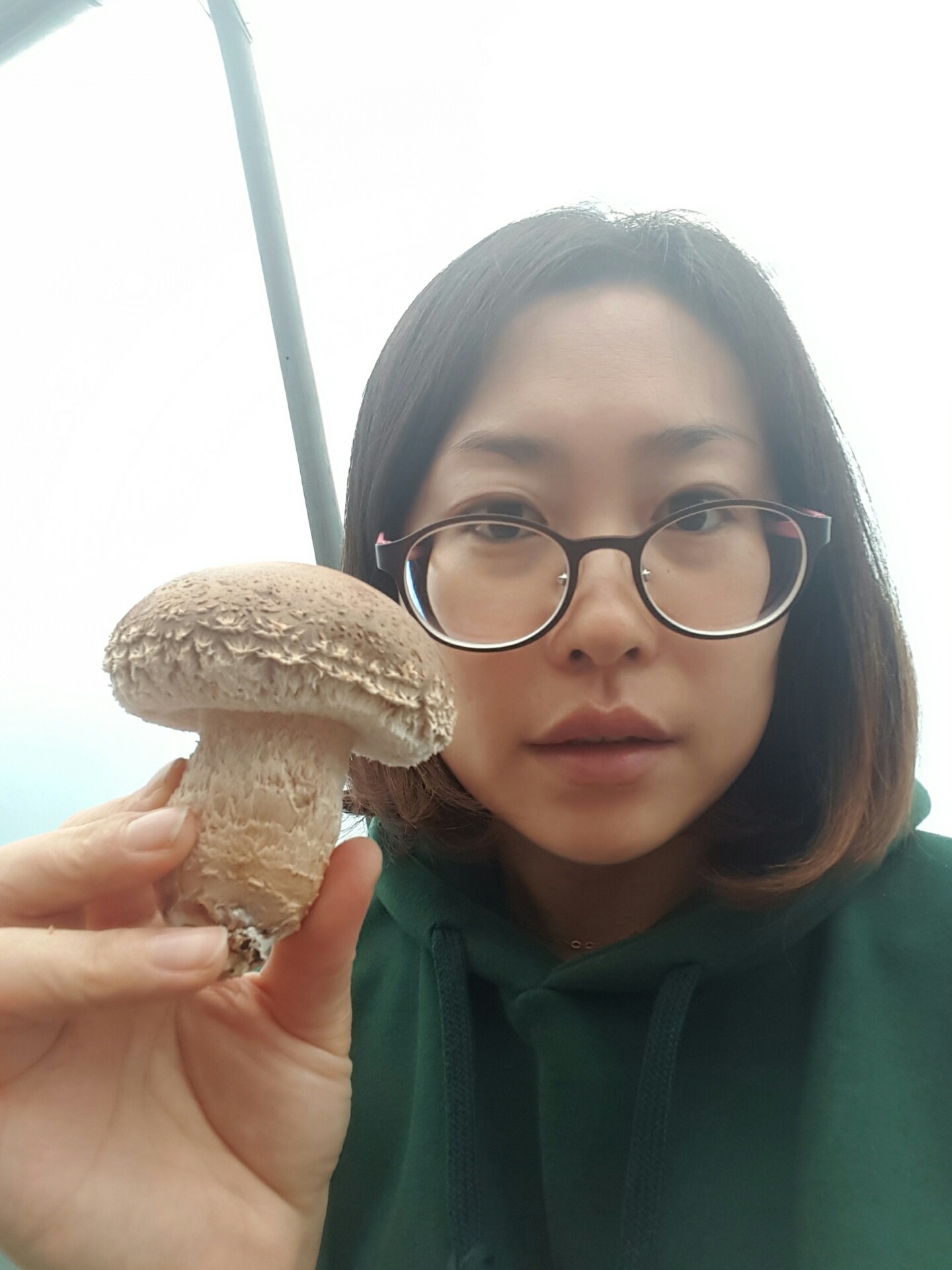 무농약 꼼지락농부의 송화고버섯 일반형(중품1kg) - 상세 이미지 5