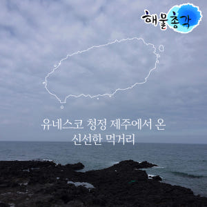 제주 갈치 갈치구이 제주은갈치 특대 선물세트 맛있게 먹은 솔직 후기 - 상품 이미지 4