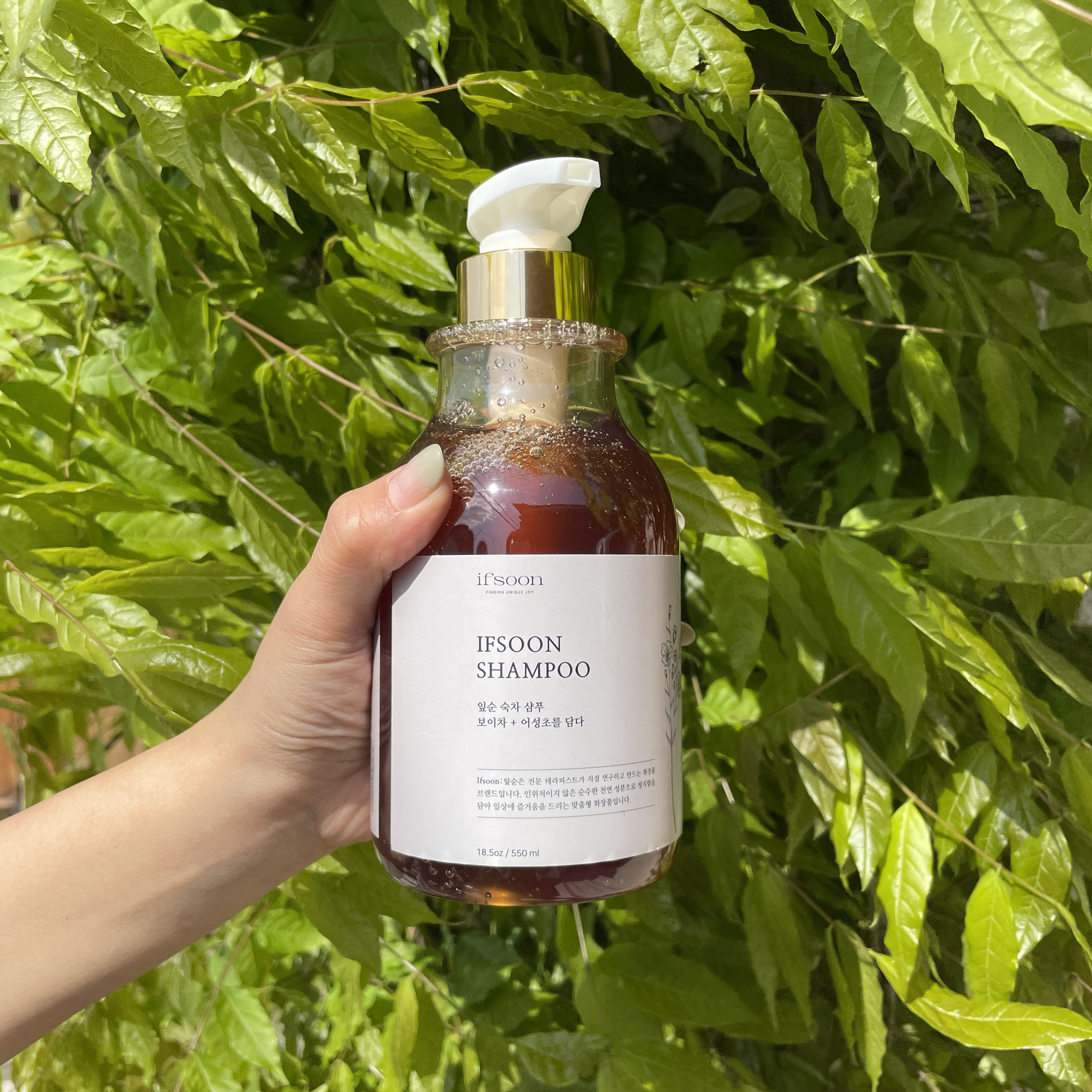 잎순 보이차 숙차 샴푸 천연 손상모 약산성 머릿결 극손상 모발 클리닉 500ml - 상세 이미지 2