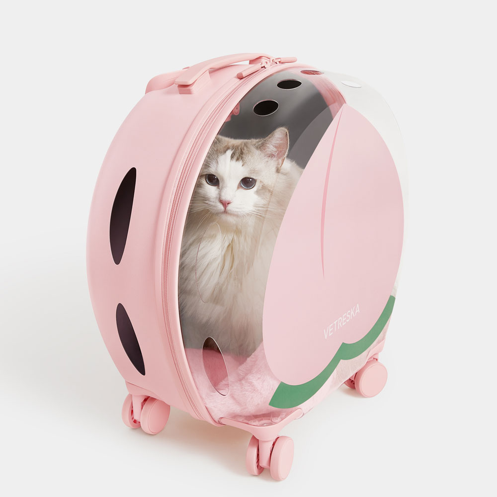 VETRESKA 강아지 고양이 투명 캐리어 바퀴 이동가방 - 상세 이미지 5