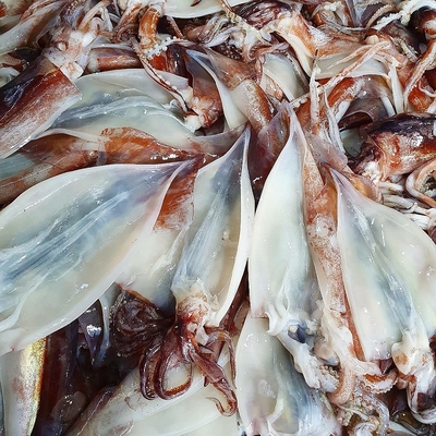 동광수산 오징어젓갈 450g 오징어무생채 450g 이미지 2