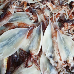 동광수산 오징어젓갈 450g  오징어무생채 450g 맛있게 먹은 솔직 후기 - 상품 이미지 2