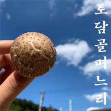 [토담골농장] 친환경 국산 생표고버섯 1kg 무료배송