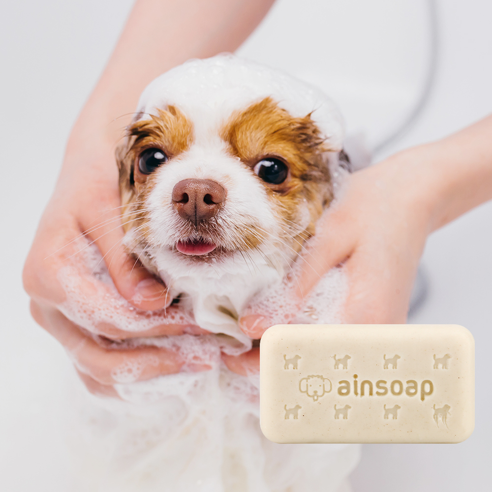 저자극 강아지 천연 샴푸 바타입 애견비누 무향