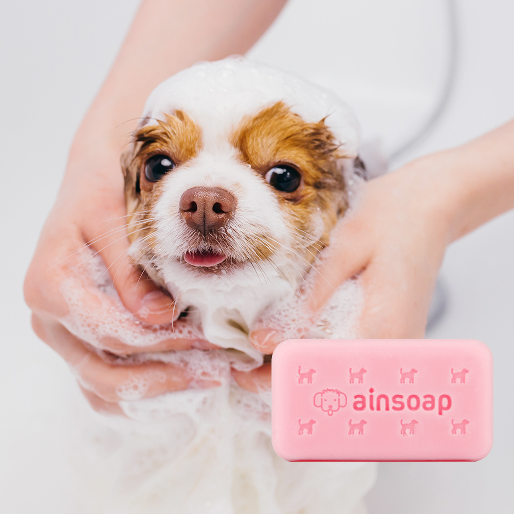 천연 애견비누 장미향 애견용비누 강아지샴푸바
