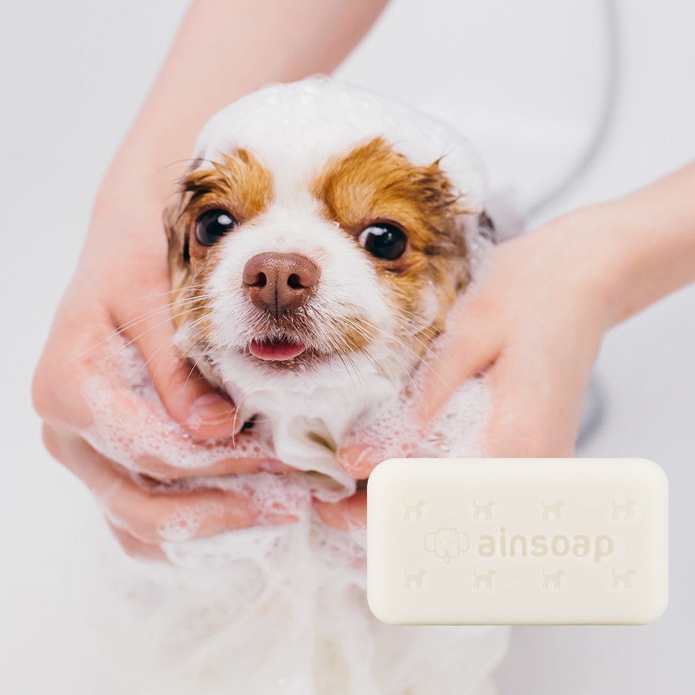 천연 애견비누 파우더향 애견용비누 강아지샴푸바