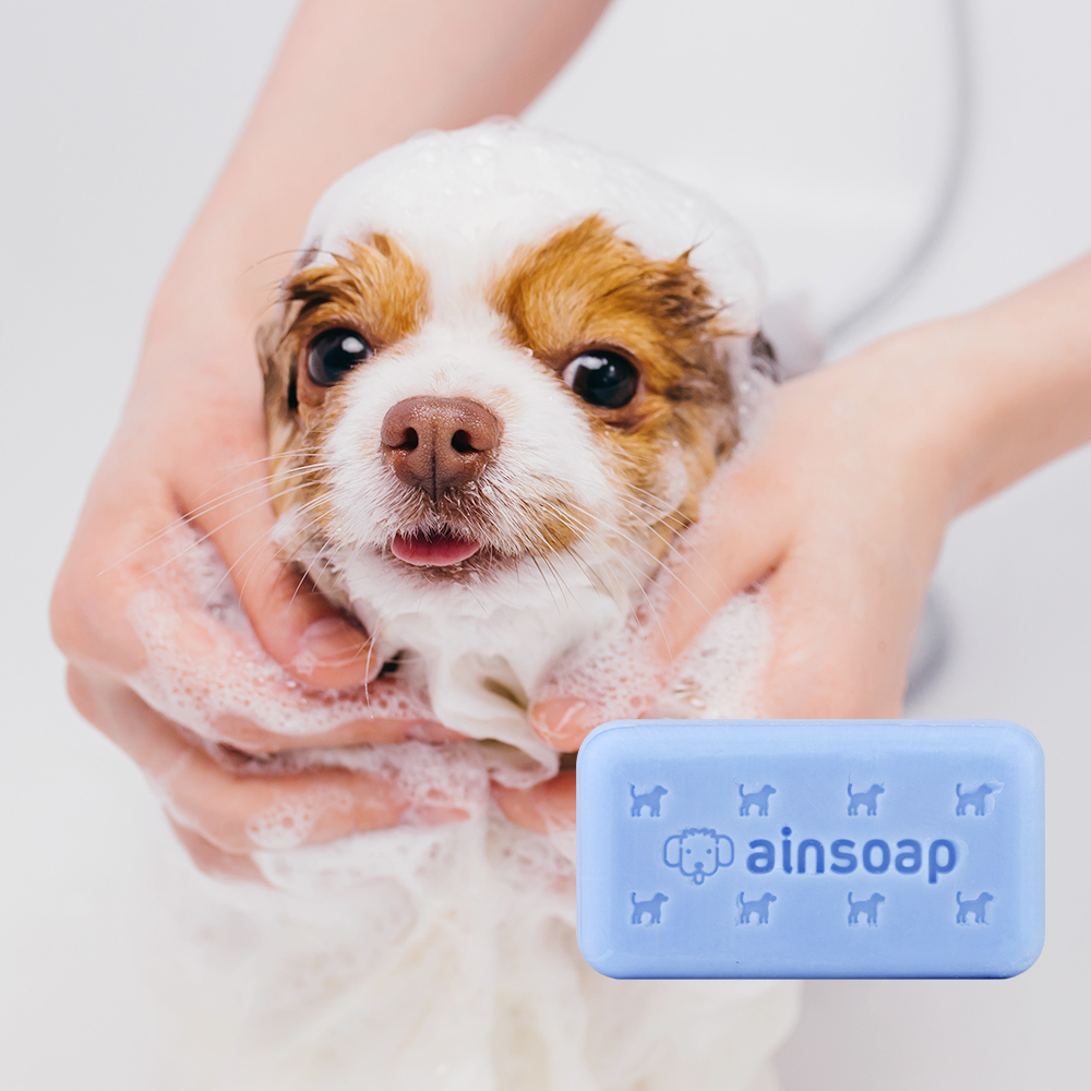 천연 애견비누 페퍼민트향 애견용비누 강아지샴푸바