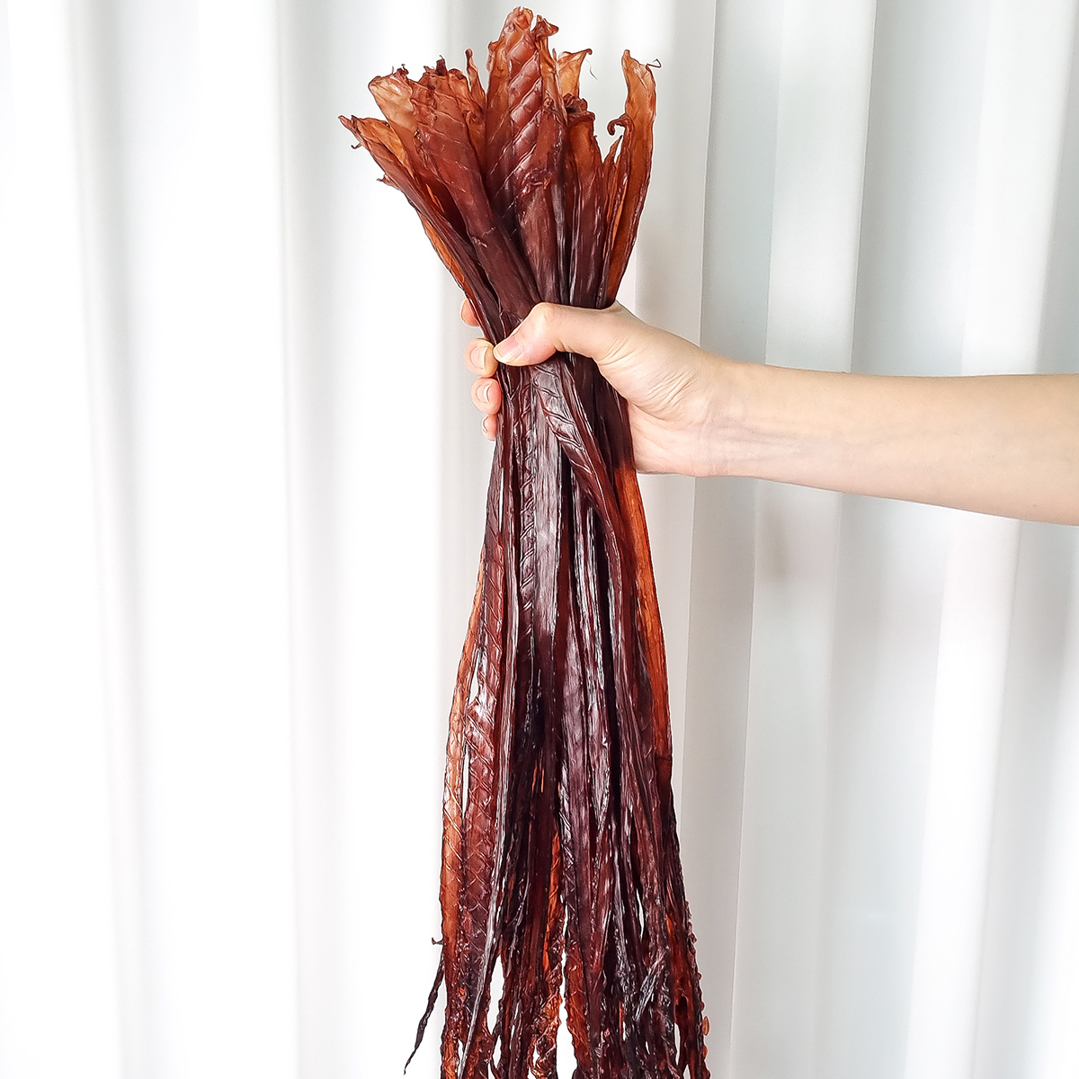 [넾다세일] 말랑 오징어 장족 500g 가문어 통족 문어다리 문어발 대왕오징어다리 이미지 8