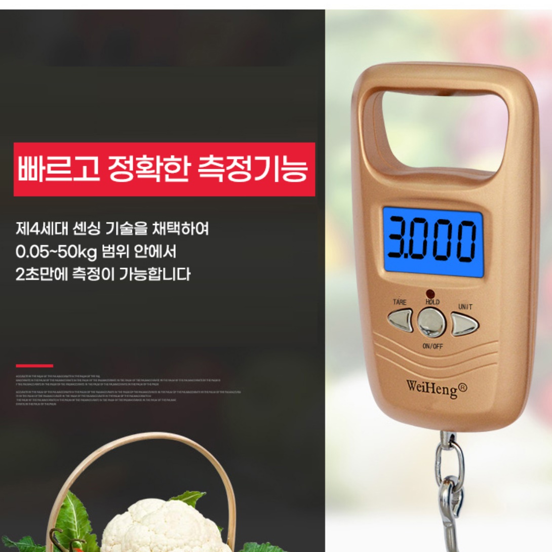 휴대용 미니 낚시용 저울 물고기 낚시 저울 여행용 손저울 - 상세 이미지 5