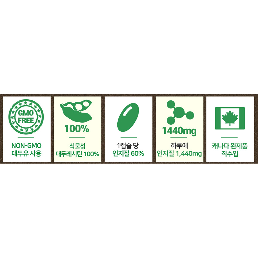 레시틴 NON GMO 대두유 프리미엄 인지질 식물성 대두 레시틴 - 상세 이미지 2