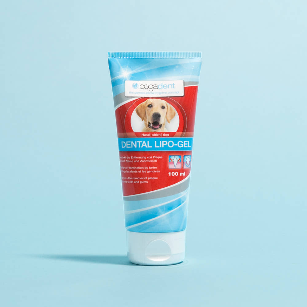 보가덴트 덴탈 리포젤 도그 덴탈오일 강아지 입냄새 구강관리 100ml 가격 비교 보가덴트 보가케어 보가덴트 덴탈 리포젤 도그 덴탈오일 강아지 입냄새 구강관리 100ml