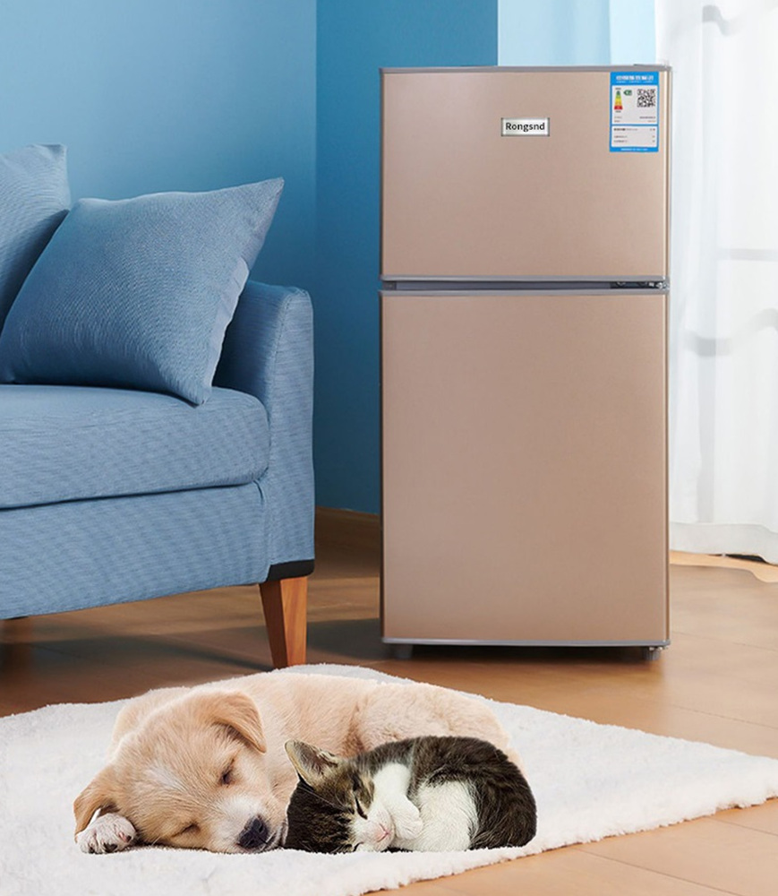 미니 소형 냉장고 술장고 가정용 음료 사무실 화장품 2도어 술 원룸 기숙사