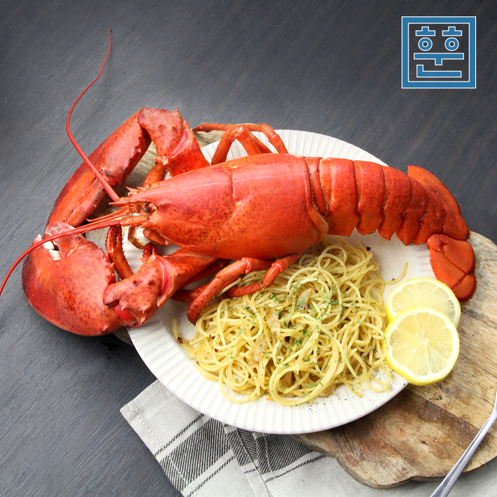 항공직송 활 랍스터 랍스타 바닷가재 500g 700g 1kg 등 다양한 사이즈 - 상세 이미지 3
