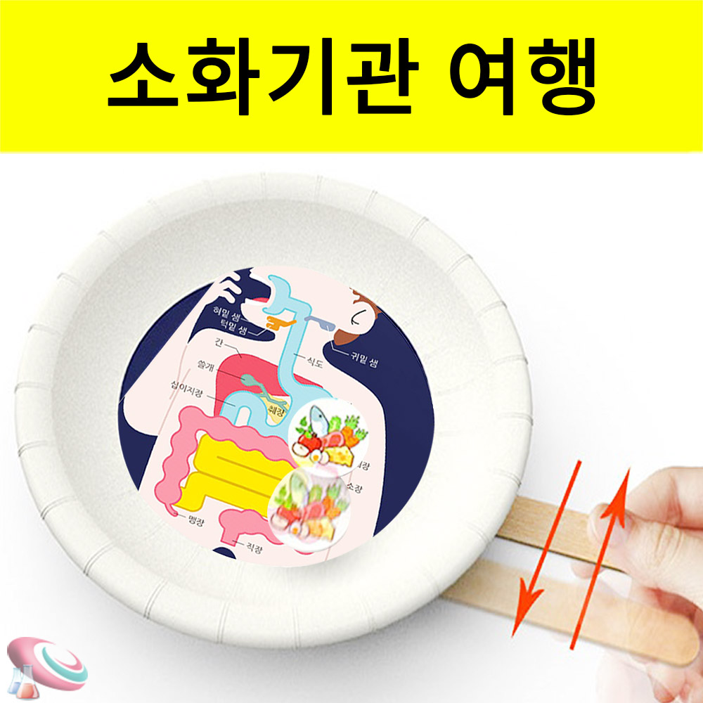 자석으로 인체내부 장기구조 소화기관여행 자석장난감 1인용 학습교구 과학교구몰 - 메인 이미지