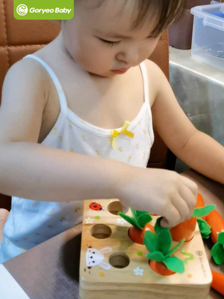 당근뽑기 비교 이미지