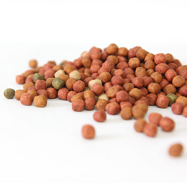 더독 닥터소프트 치킨 강아지 사료 노견용, 3kg, 1개 이미지 2