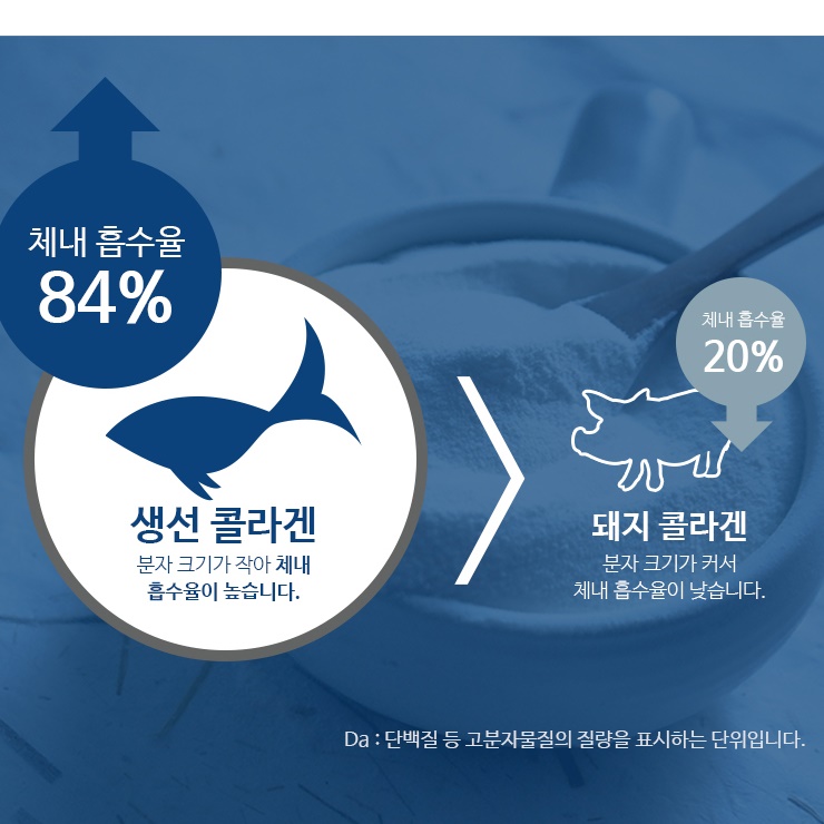 초 저분자 콜라겐 펩타이드 분말 500g 피쉬 효과좋은 콜라겐 권장량 홈쇼핑 가루 효능 - 상세 이미지 4