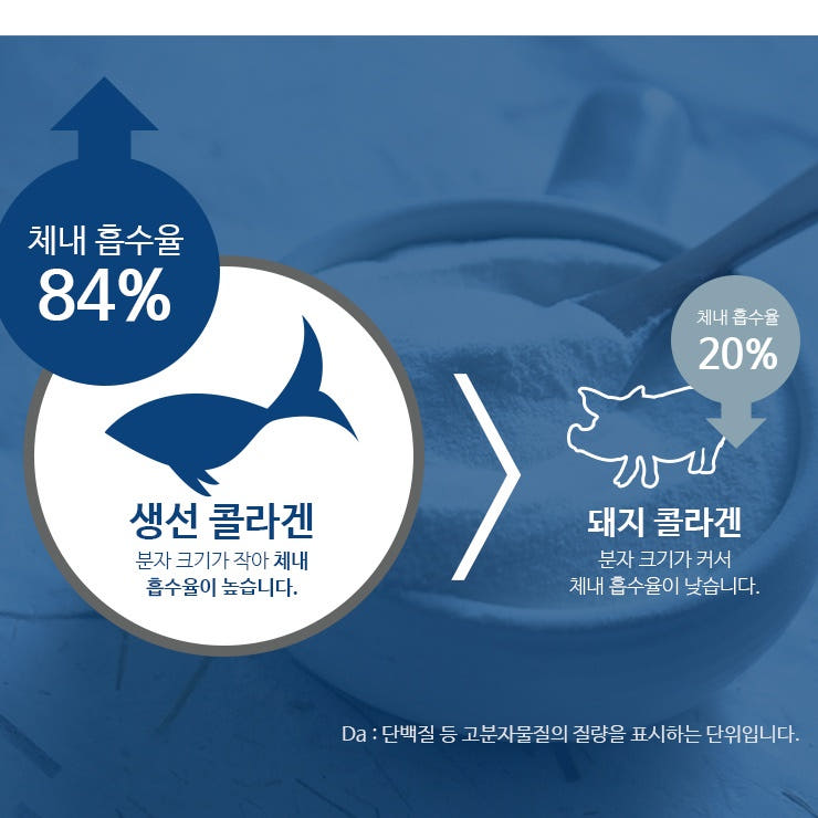 분말 콜라겐