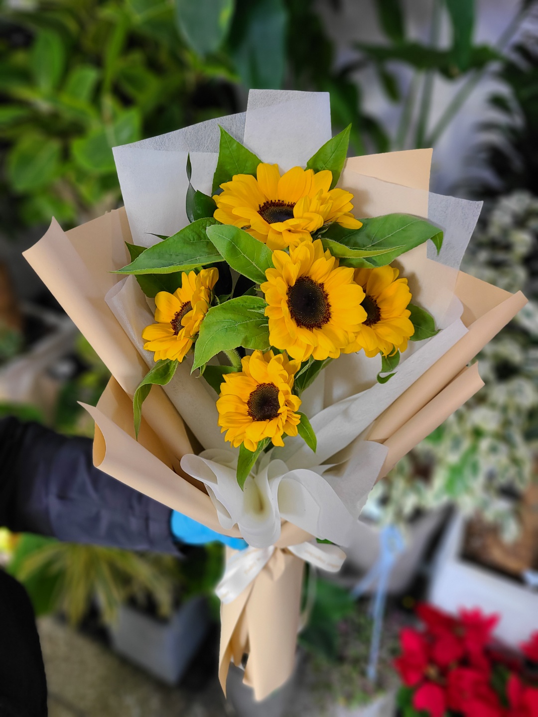 해바라기 생화 꽃다발 배달 한단 화훼농가 꽃배송 꽃농장 꽃구독 여자친구 기념일 택배 - 상세 이미지 3
