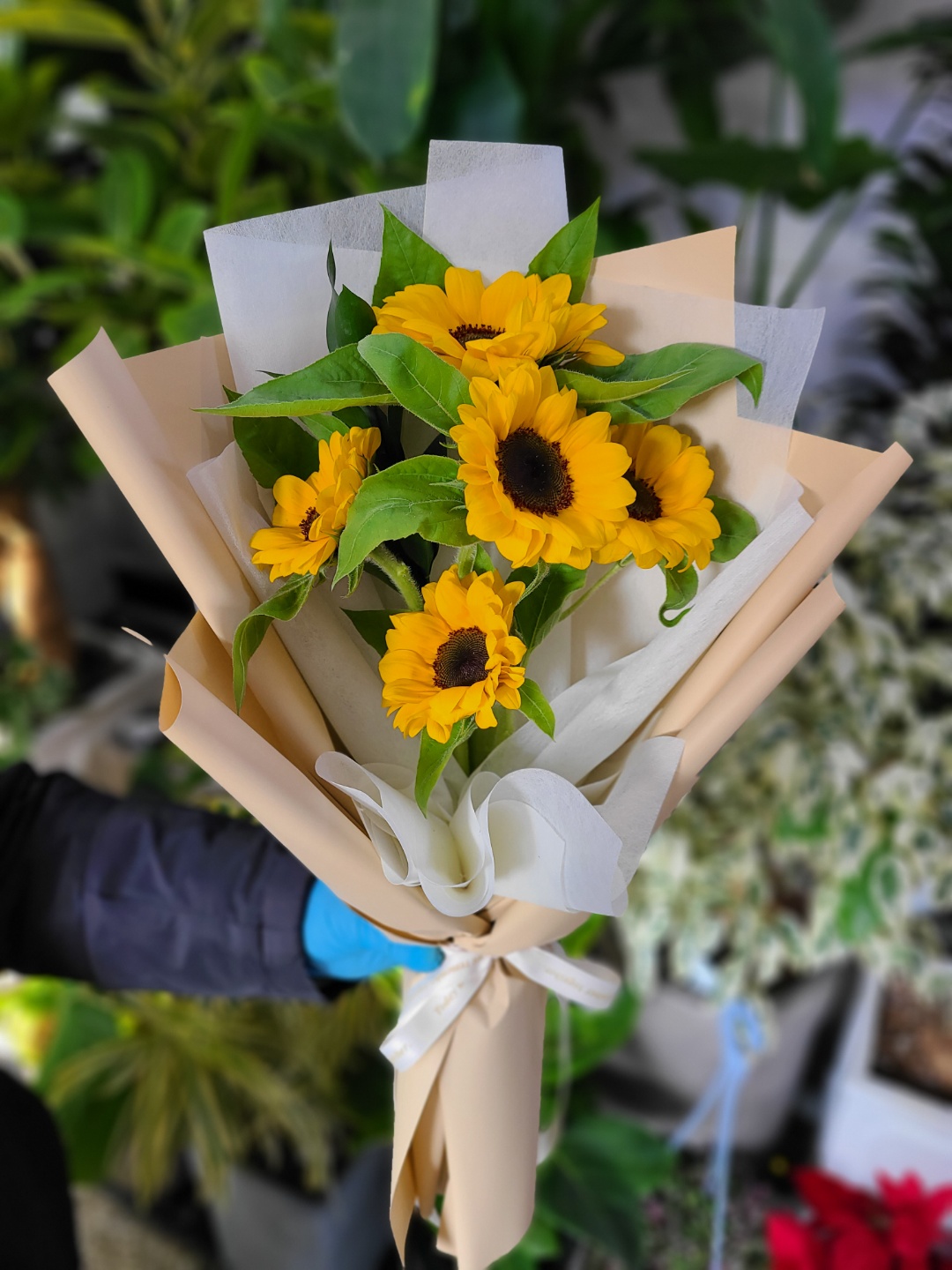 해바라기 생화 꽃다발 배달 한단 화훼농가 꽃배송 꽃농장 꽃구독 여자친구 기념일 택배 - 상세 이미지 4