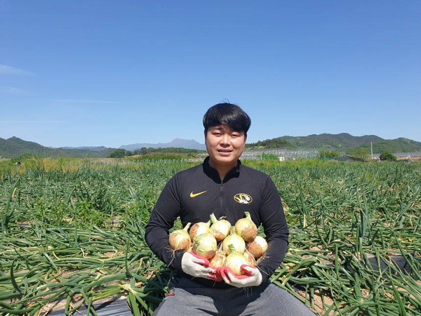 [청년농부] 25년 햇양파 저장 양파 3kg 5kg 10kg 깐양파 만생종 이미지 2