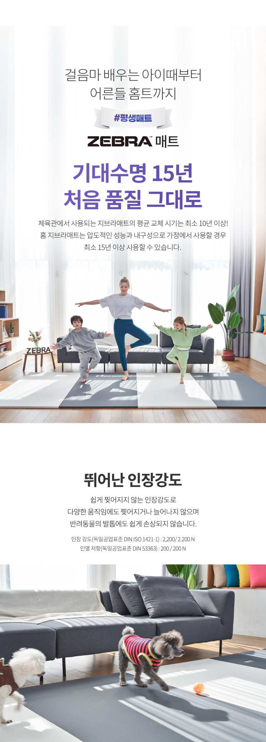 홈지브라매트_19.png (848×2363)