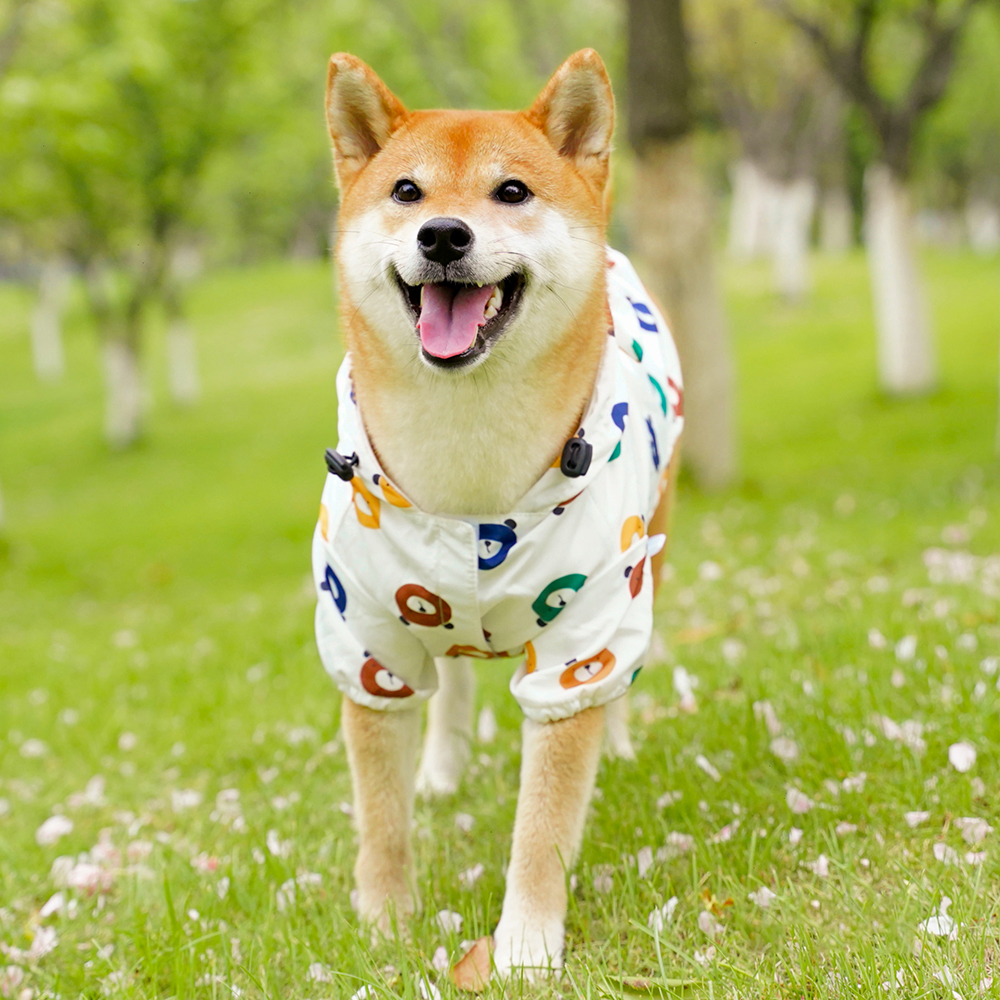 강아지 우비 곰돌이 비옷 바람막이 S - 상세 이미지 3