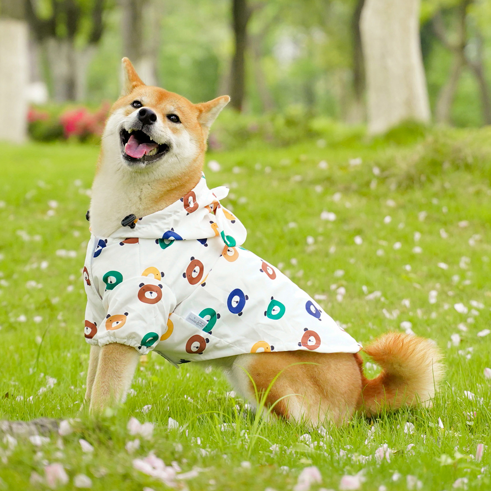 강아지 우비 곰돌이 비옷 바람막이 S - 상세 이미지 5
