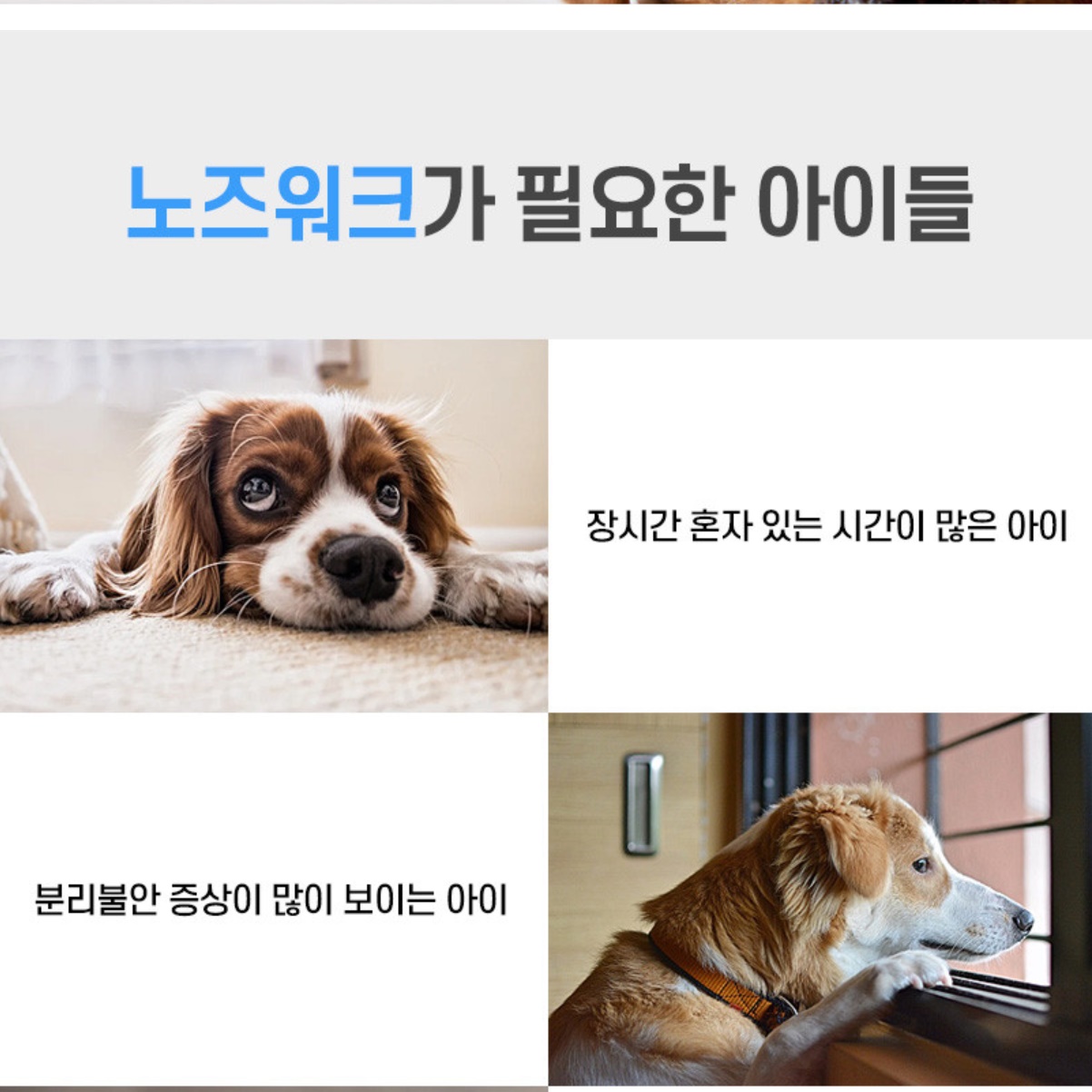 강아지 노즈워크 담요 강아지 혼자두기 노이즈워크 매트 이미지 8