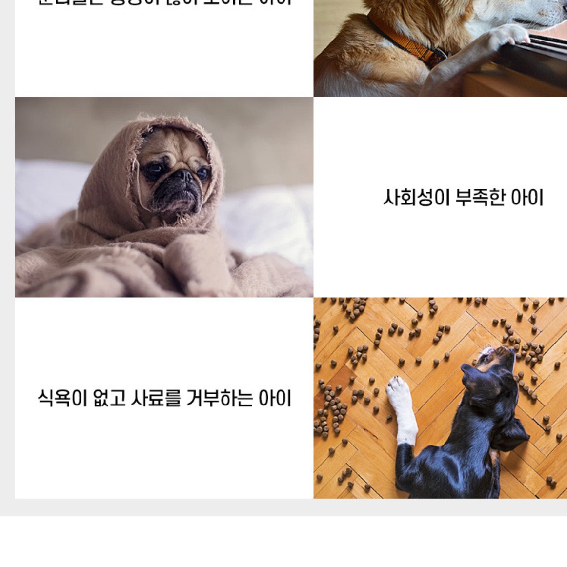 강아지 노즈워크 담요 강아지 혼자두기 노이즈워크 매트 이미지 7