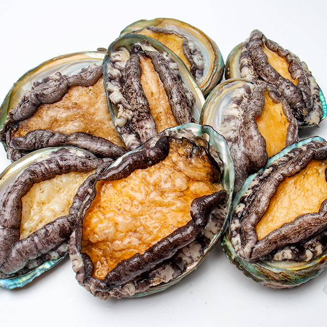 통영 국내산 전복 1kg (9-20미) - 메인 이미지