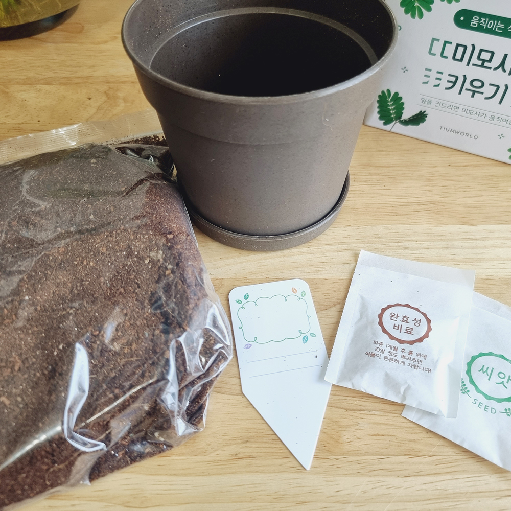 물망초 키우기 씨앗 꽃씨 재배 키트 이미지 8