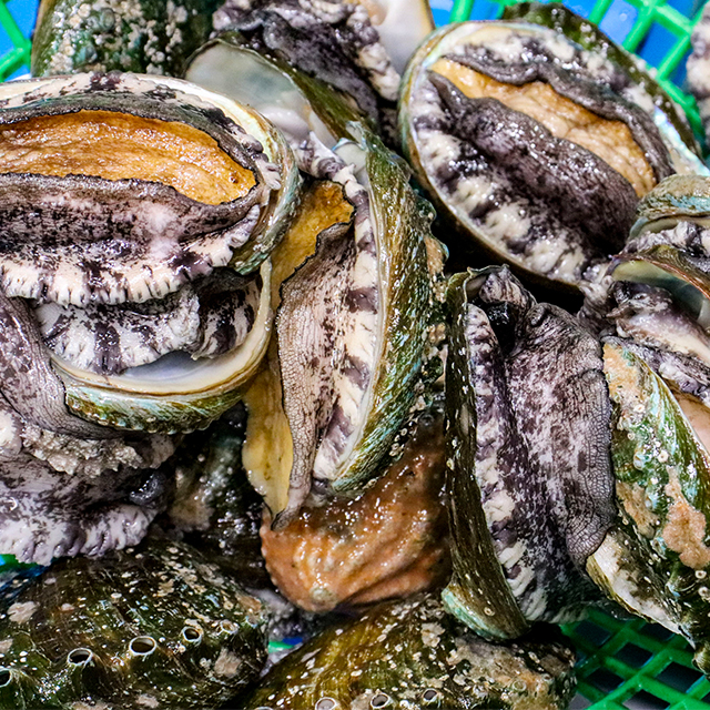 통영 국내산 전복 1kg (9-20미) - 상세 이미지 3