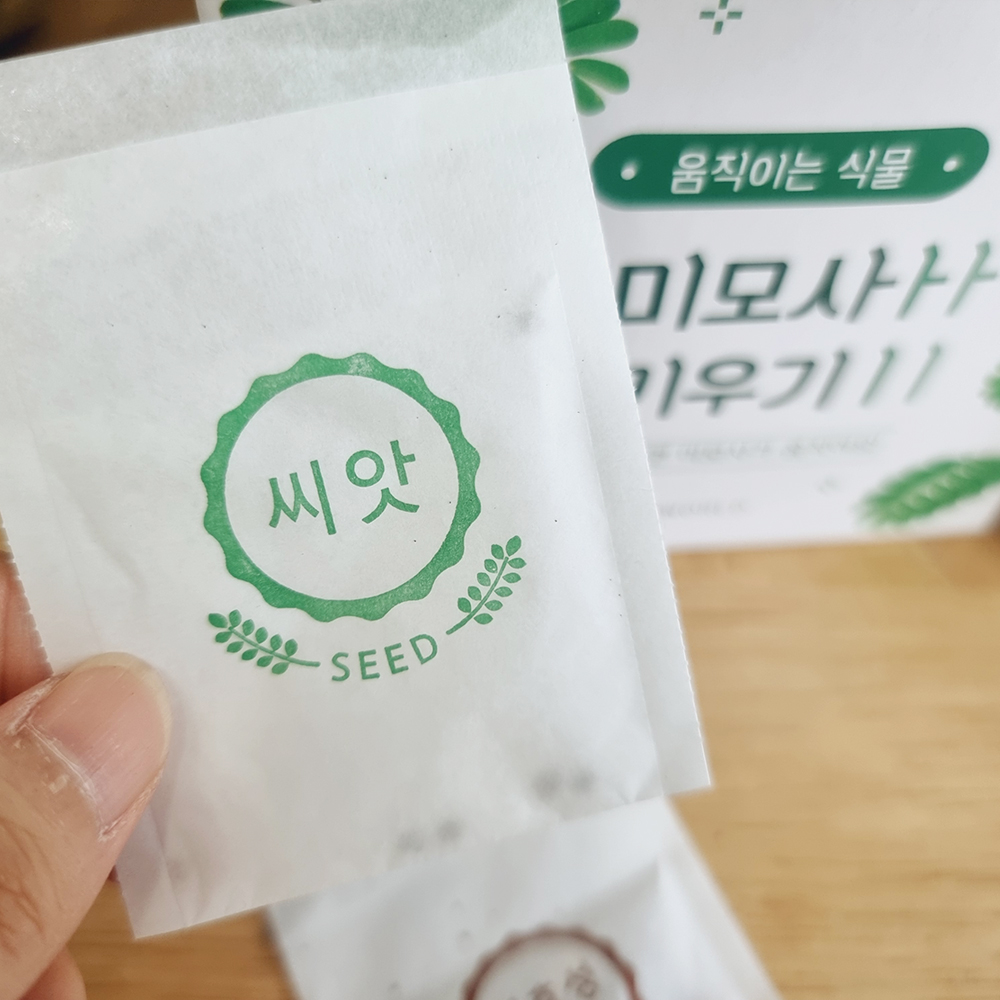 안개꽃 키우기 꽃씨 재배 키트 이름표포함 - 상세 이미지 2